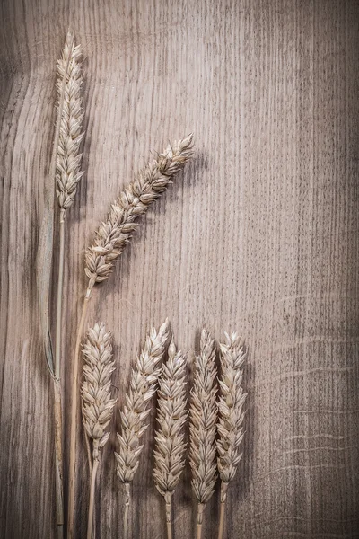 Composition of wheat rye ears on wooden board — Stock Photo, Image