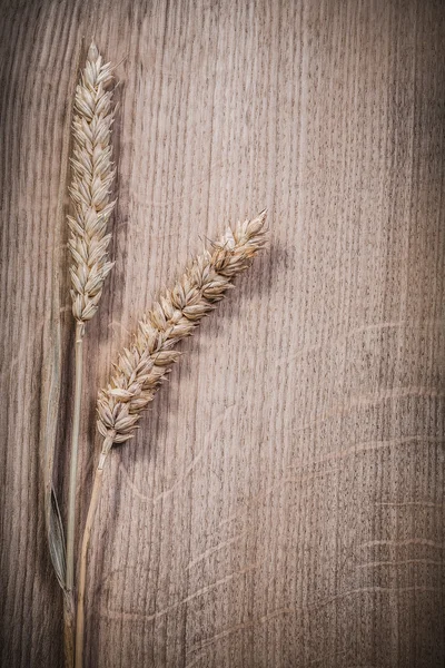 Golden wheat rye ears on wooden board top view — Stock Photo, Image