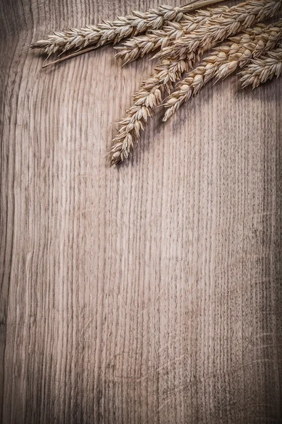 Composition of golden wheat rye ears on wooden board copyspace — Stock Photo, Image