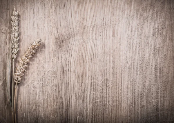 Gouden wheatears op houten plank copyspace — Stockfoto