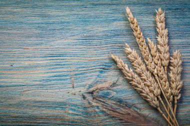 Buğday çavdar kulakları ahşap tahta üzerinde 