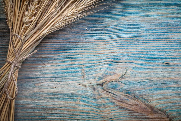 Bunch of golden wheat rye ears — Stock Photo, Image