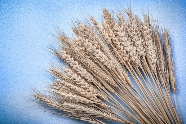 Kupie dojrzałe żyto pszenica uszy — Zdjęcie stockowe