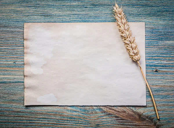 Wheat ear on sheet of paper — Stock Photo, Image