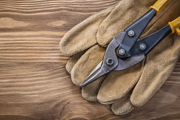 Paar beschermende handschoenen — Stockfoto