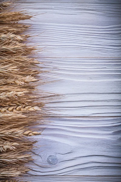 Stack of wheat rye ears on wooden board copy space food and drin — Stock Photo, Image