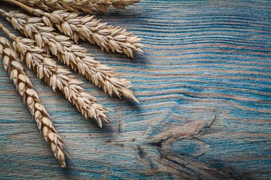 Buğday ve çavdar kulaklara vintage ahşap tahta yiyecek ve içecek sürü