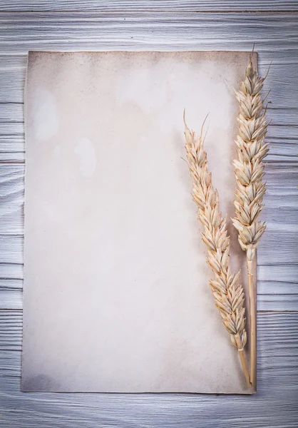 Ripe wheat ears blank vintage paper sheet on wooden board — Stock Photo, Image