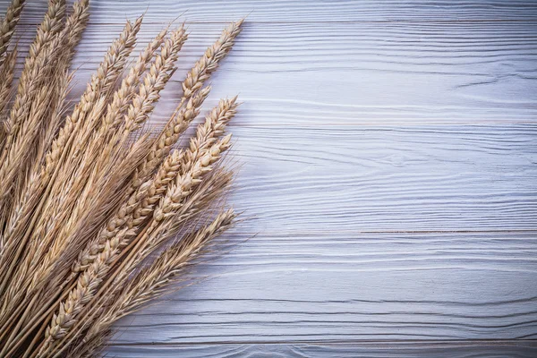 Bunch of ripe wheat rye ears on wooden board food and drink conc — Stock Photo, Image