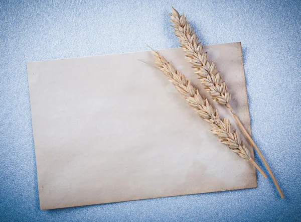 Rye ears and vintage paper sheet — Stock Photo, Image