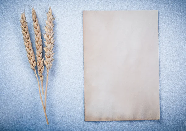 Roggen-Ähren und alte Papierbögen — Stockfoto