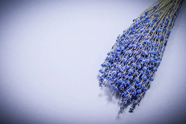 Pacote de lavanda de saúde seca na saúde de fundo azul — Fotografia de Stock