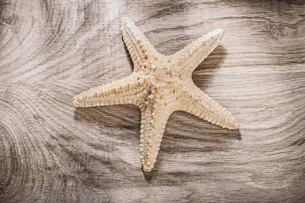 Estrella de mar sobre tabla de madera —  Fotos de Stock