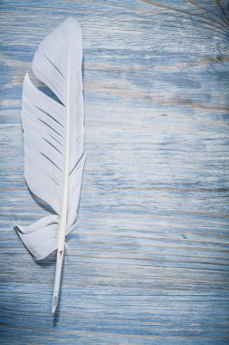 Vintage tüy ahşap tahta üzerinde 