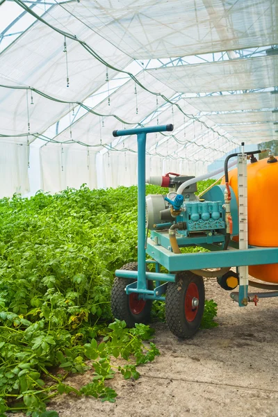Pulverizador grande de pesticidas en invernadero — Foto de Stock