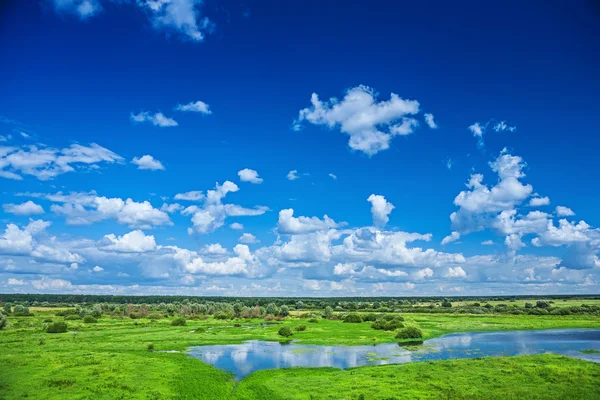 Bekijken op veld — Stockfoto