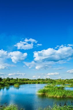 Orman Gölü yaz aylarında