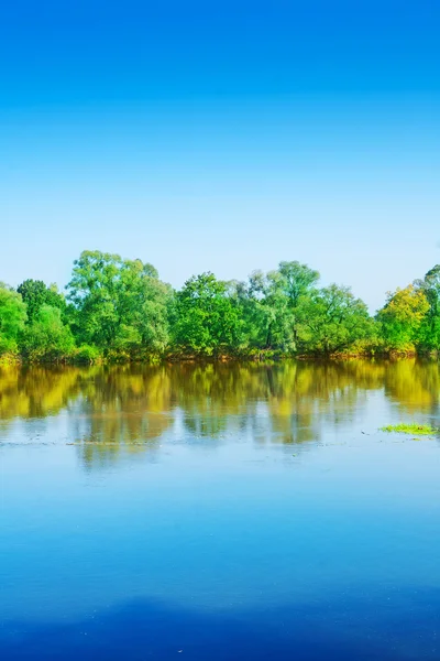 Paesaggio fluviale verticale — Foto Stock