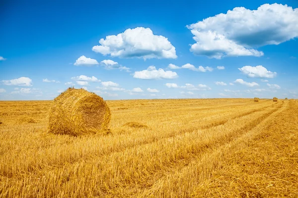 Balle di una paglia — Foto Stock