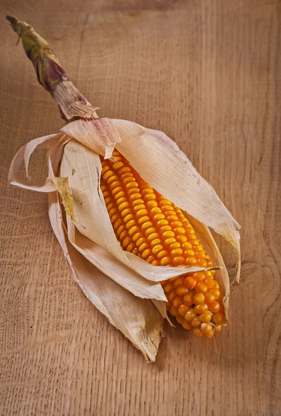 Öra av torkad majs — Stockfoto