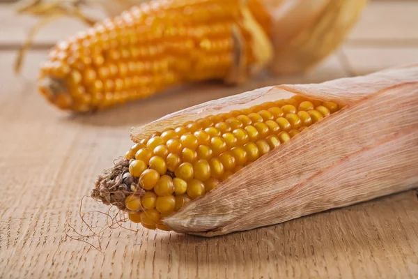 Telinga jagung di papan kayu — Stok Foto