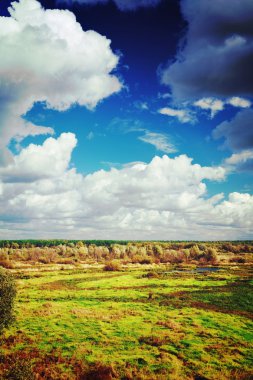 Sonbahar alan ve bulutlu gökyüzü instagram stile görüntüleme