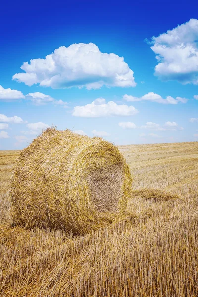 Strohballen auf harwested field instagram Farben — Stockfoto