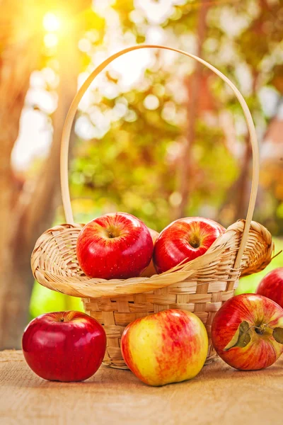 Mele mature fresche in boccola di vimini e su tavolo di legno in giardino — Foto Stock