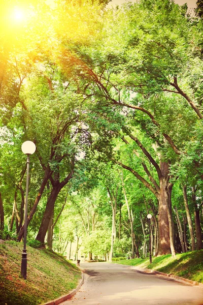 Small road through the green park instagram stile — Stock Photo, Image