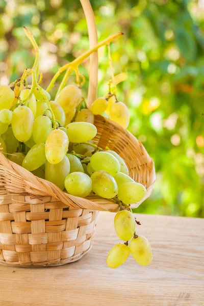 Свежий белый виноград в плетеной втулке на деревянном столе в винограднике — стоковое фото