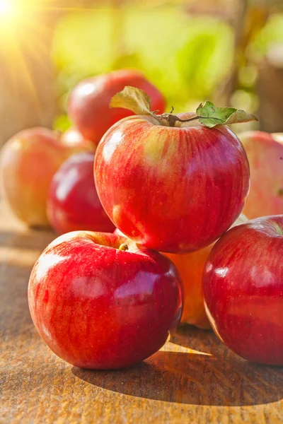 Stack of fresh ripe red apples on wooden table in garden — Stock Photo, Image