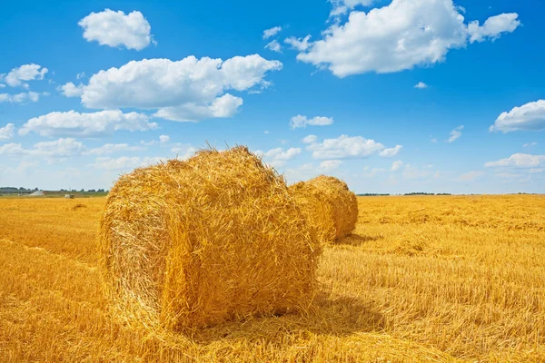 Bales of straw on harvested field and beauti cloudy sky — Stock Photo, Image