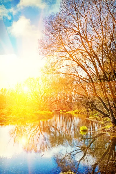 Salida del sol en un pequeño río — Foto de Stock