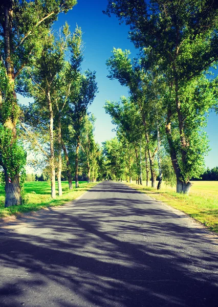 緑の路地 — ストック写真