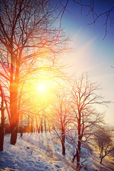 Hermosa vista invernal — Foto de Stock