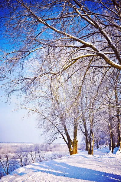 Widok piękny zimowy — Zdjęcie stockowe