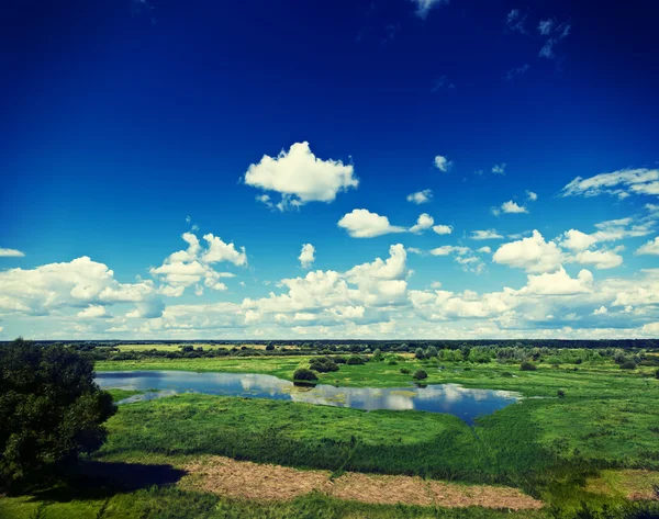 Vista sobre campo de inundación de primavera verde — Foto de Stock