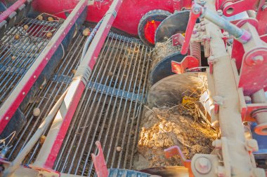 Patates Hasat makineleri ile