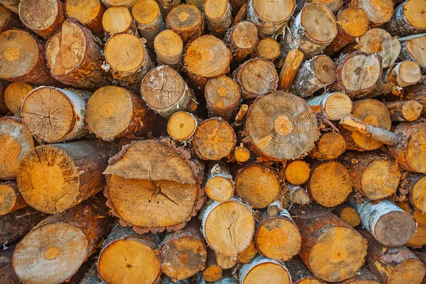 Close up view on woods pile — Stock Photo, Image