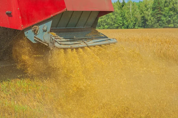 Combineren harvester gieten stro — Stockfoto