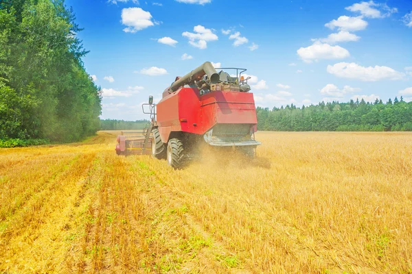 Combinar cosechadora en el campo — Foto de Stock