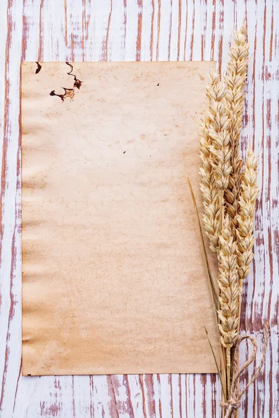 Paper and wheat ears — Stock Photo, Image