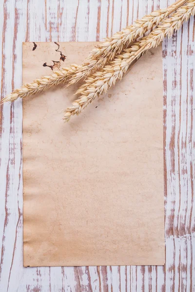 Papier i pszenica uszy — Zdjęcie stockowe