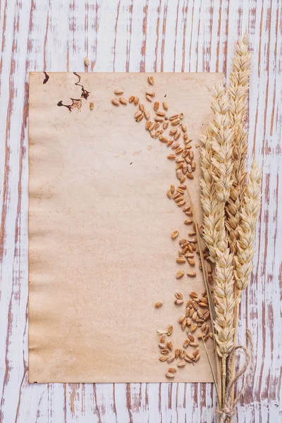 Wheat ears and corns — Stock Photo, Image