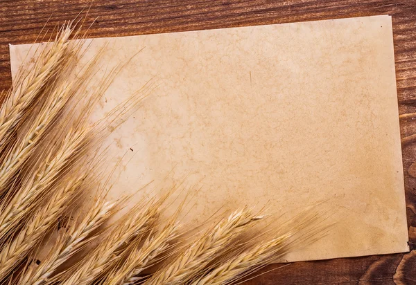 Old paper with ears of wheat — Stock Photo, Image