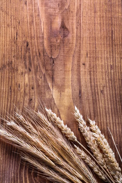 Kłosy pszenicy i żyta — Zdjęcie stockowe