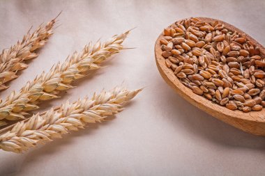 Buğday ve Mısır tahta kaşıkla