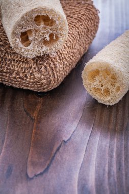 İki sünger ve kahverengi toplu sak