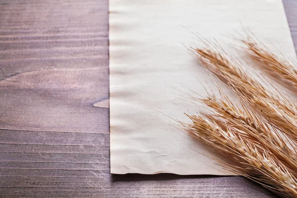 Kłosy pszenicy na vintage blanc papieru — Zdjęcie stockowe