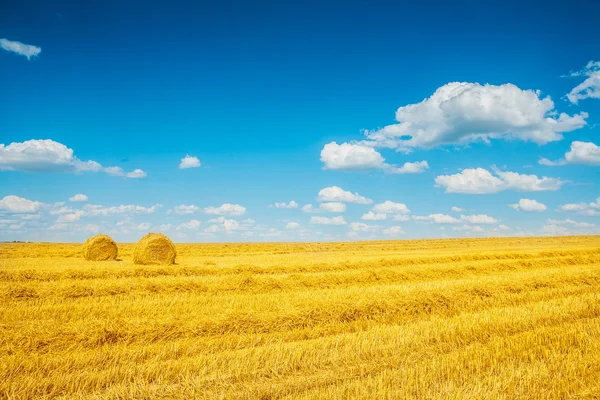 Rilievo di frumento — Foto Stock